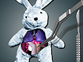 খেলা Save The Bunny