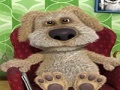 খেলা Talking Ben the Dog