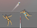 খেলা Ragdoll Volleyball